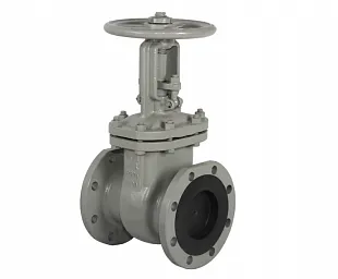 Задвижка 30с41нж ЛАЗ