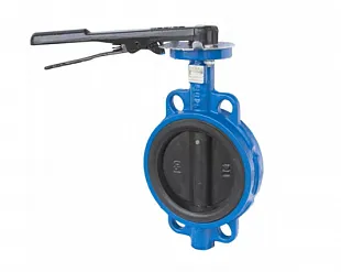 Затвор дисковый ЗПФ ЛАЗ ЭПДМ/Нитрил